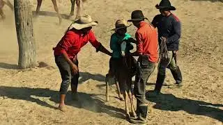 Cabresteando Lejanías-Huber Paredes