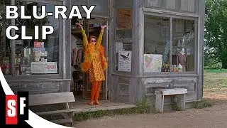 To Wong Foo, Thanks For Everything! Julie Newmar (1995) - Clip: Thrift Store Jackpot (HD)