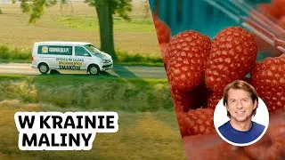 Karol szuka idealnych malin | Okrasa na szlaku regionalnych smaków!