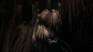 #spain #barcelona #fireworks #beach #festival #celebration #visualart The fireworks of La Merce 2024