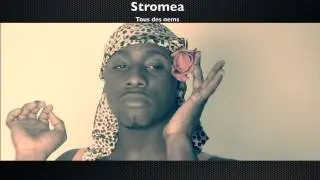 Parody hit n&deg;14 2013  - Miley Cyrus - Stromae - Ma&icirc;tre Gims - Jason Derulo