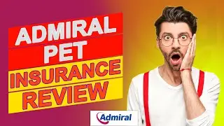 Admiral Pet Insurance Review - Are Their Insurance Rates Competitive? (Is It A Good Option?)