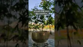 30 Second Deep Relaxation Sound | Peaceful Stress Relief