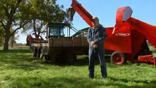 Pecan Harvest (11/24/12)