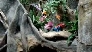 animatronic frog