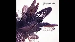 Airi - Consious Species