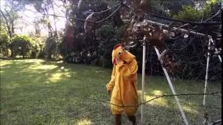 As&iacute; naci&oacute; una estrella.
