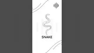 SNAKE SOUND 🐍 #snake #poison #snakevideo #trend #tiktok #shorts #youtubeshorts #viralvideos