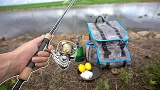 Fishing the Everglades for FOOD!! (Roadside Fishing)