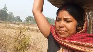 आज हमलोग तरफ बहुत कुहासा है #manitamahtovlogs #vlogs 