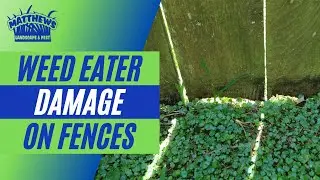 Weed Eater Damage On Fences