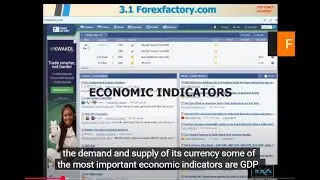 📊 Forex Fundamental Analysis: Master the Key Market Drivers! 💰💱