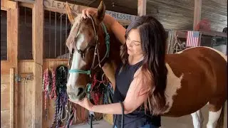 Horse Difficult to Bridle?
