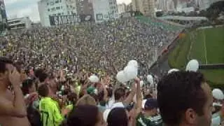 Lulao tocida do Plameiras