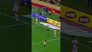 Gol de Estrada &iexcl;Incre&iacute;ble celebraci&oacute;n!