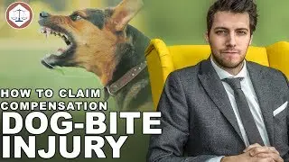 Dog Bite Compensation - How To Claim Compensation? (2019) UK