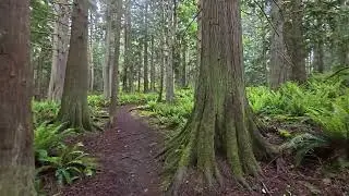 Anacortes-ACFL Little Cranberry Lake & Big Beaver Pond Trails.