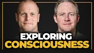 Exploring Consciousness and Non-Ordinary Religion, Panpsychism, and Heretical Ideas &mdash; Philip Goff