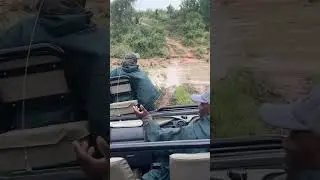 Africa Transport & Terrains are the Best!! #provemewrong #africa #safari #terrain #modesoftransport