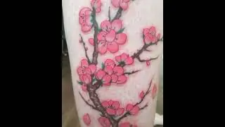Zen Black Irezumi / Aidan Mann - Cherry Blossoms Tattoo - 2021