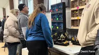 Bird Keepers Association, Bird show, London Road, RM20. Sunday 21 December 2025