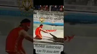 crocodile attack vs grandmaster player #funny #flyxo