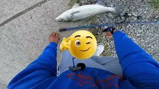 Pesca De Stripers en Oklahoma