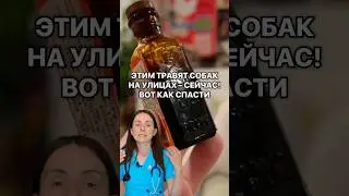 ➡️ Смотри закрытую информацию о здоровье и питании питомца &mdash; видео в моем клубе по ссылке в профиле