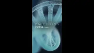 Watching Evolution in Fast Forward: The Science of Adaptation