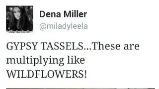 Gypsy Tassels~All  About Energy~Milady Leela