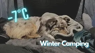 Solo Winter Camping with My Dog - Freezing Temperatures!
