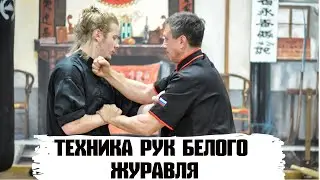 Урок 25 начальная техника рук Юнчунь Байхэ Цюань/Lesson 15 elementary technique Yunchun White Crane/