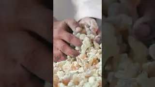 The frankincense tree and its resin, a timeless treasure rooted in Omani soil inspiring generations