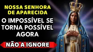 💙 Oração PODEROSA a Nossa Senhora Aparecida 🙏 PROTEGE de TODO Mal e Perigo