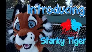 Introducing Starky the tiger