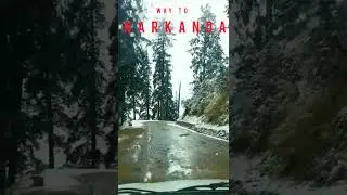 Shimla 2021-22 Tour | Simla Tourism | Simla Sight scene | Narkanda | Shimla City | Shimla Beauty