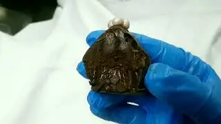 Trufa de chocolate amargo 70% com toque de mel e baunilha / Banho de chocolate
