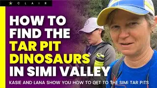 They Found a Bubbling Tar Pit in Simi Valley - Then Noticed the Dinosaurs