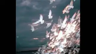 deftones ✣ smashing pumpkins type instrumental - 