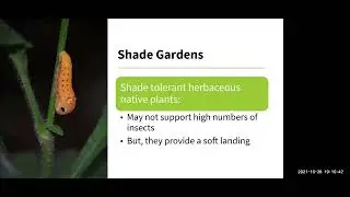 Native Plants for the Shade Garden