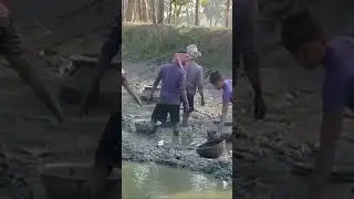 village fishing 😅💞#feshing#trending #music #viralshorts #villagelife