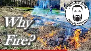 🔵 Начните садовый сезон правильно | Уничтожьте сорняки и вредителей и добавьте удобрения | Научит...