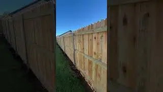 Western Red Cedar Privacy Fence