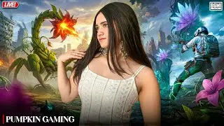 Bgmi live with members only teamcode - Pumpkin is LIVE #bgmi #girlgamer #shortsfeed  #bgmilive #live