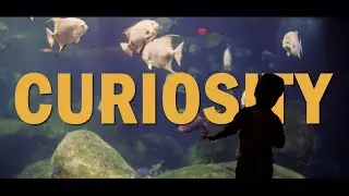 Richard Feynman | Curiosity
