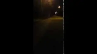 longboard Ham-Nord