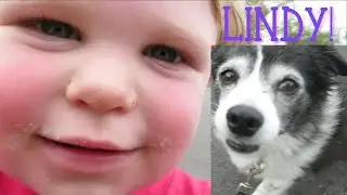 Toddler walking dog to see Aerial Acrobat! - Kids - Walking Lindy - Harrison Duke! Quarantine Fun!