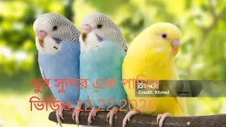 নতুন এক্স ভিডিও নতুন বন্ধু আমার জন্য তুমি