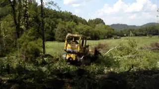 Pushing over tree