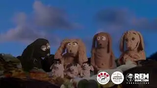 The PATT - The Pothound Association   SPAY AND NEUTER